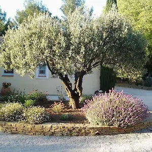 Maison Privée Au Calme Dans Mas Provencal Hébergement de vacances